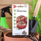 Семена Томат «Чёрный принц», среднеспелый, детерминантный, среднерослый, 0.05 г, «Удачные семена» - Фото 5