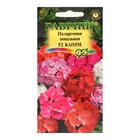 Семена комнатных цветов Пеларгония "Капри", ц/п, F2, 4 шт. - Фото 5