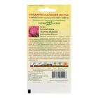 Семена цветов Астра Пампушка мармеладная, помпонная, розовая, О, ц/п, 0,3 г - Фото 4