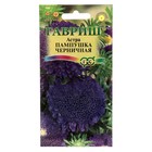 Семена цветов Астра Пампушка черничная, помпонная, О, ц/п, 0,3 г - Фото 1