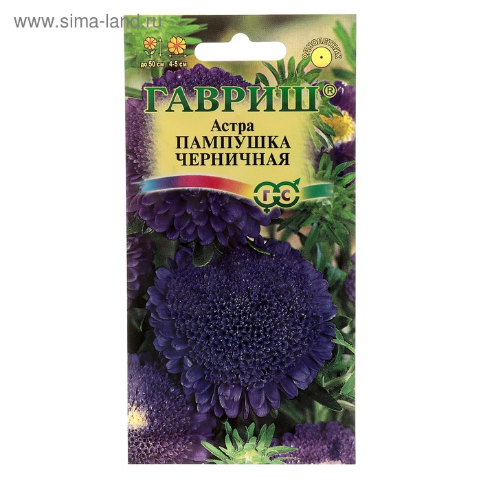 Семена цветов Астра Пампушка черничная, помпонная, О, ц/п, 0,3 г - Фото 1