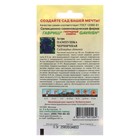 Семена цветов Астра Пампушка черничная, помпонная, О, ц/п, 0,3 г - Фото 2