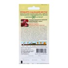 Семена цветов Гвоздика "Монпансье", ц/п, турецкая, 0,1 г - Фото 2