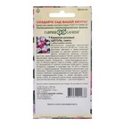 Семена комнатных цветов Барвинок "Щеголь", ц/п, 0,05 г - Фото 4