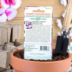 Семена комнатных цветов Барвинок "Щеголь", ц/п, 0,05 г - Фото 2