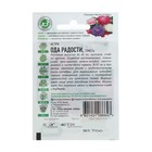 Семена цветов Астра "Ода радости", ц/п, смесь, О, 0,2 г серия ХИТ х3 - Фото 2