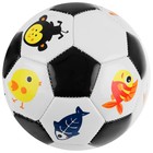 Мяч футбольный детский, ПВХ, машинная сшивка, 32 панели, размер 2, цвета микс - фото 3828993