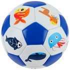 Мяч футбольный детский, ПВХ, машинная сшивка, 32 панели, размер 2, цвета микс - фото 3828994