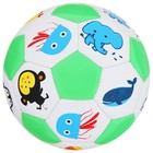 Мяч футбольный детский, ПВХ, машинная сшивка, 32 панели, размер 2, цвета микс - фото 3828981
