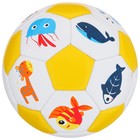 Мяч футбольный детский, ПВХ, машинная сшивка, 32 панели, размер 2, цвета микс - фото 3828982