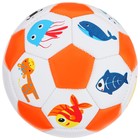 Футбольный мяч, машинная сшивка, 32 панели, р. 2, EVA, цвета МИКС - Фото 5