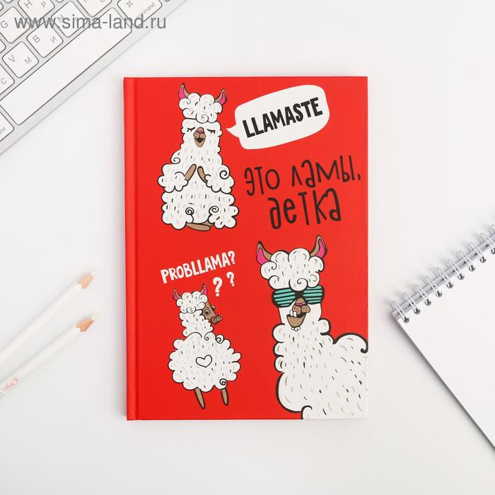 Ежедневник "Лама", А5, 80 листов - Фото 1