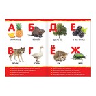 Книги картонные набор «Для малышей» №3, 4 шт., 10 стр. - Фото 4