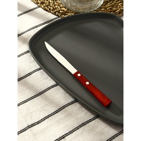 Нож столовый из нержавеющей стали «Эко-стейк», длина 20 см, деревянная ручка