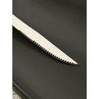 Нож столовый из нержавеющей стали «Эко-стейк», длина 20 см, деревянная ручка - фото 4264748