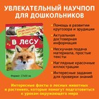 Энциклопедия для детского сада «В лесу» - Фото 2