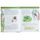 Энциклопедия для детского сада «В лесу» - фото 3829093