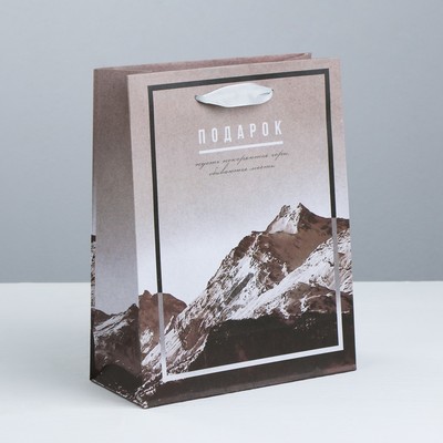 Пакет вертикальный крафтовый «Вдохновенный подарок», MS 18 × 23 × 8 см