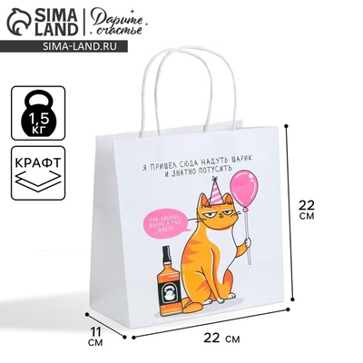 Пакет подарочный, упаковка, «Туса», 22×22×11 см