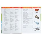 Энциклопедия для детского сада «Самолёты и вертолёты» - фото 8441011