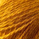 Пряжа "Нежность" 60% акрил, 40% козий пух 230м/100гр  (Горчица) (комплект 5 шт) - фото 20898323