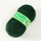 Пряжа "Нежность" 60% акрил, 40% козий пух 230м/100гр  (Бутылочный) (комплект 5 шт) - фото 23263057