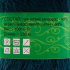 Пряжа "Нежность" 60% акрил, 40% козий пух 230м/100гр  (Морская волна) - фото 20898506