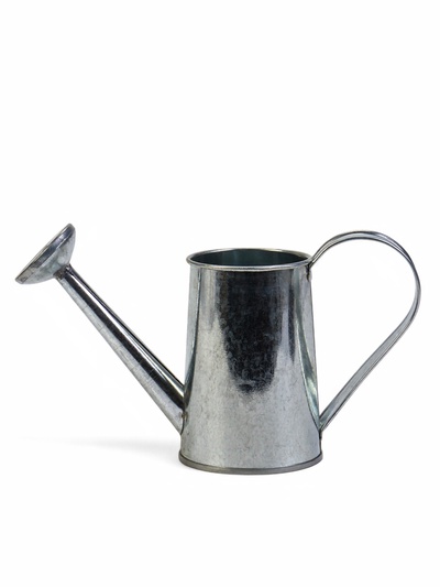 Кашпо «Лейка», 15×6.5×9 см