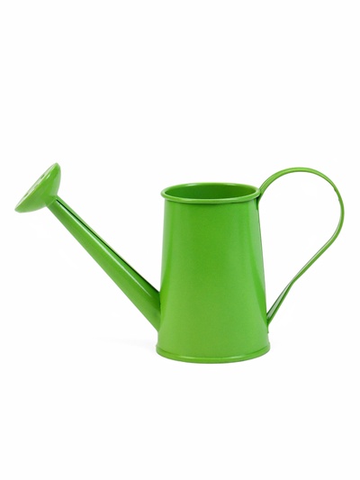 Кашпо «Лейка», 15×7×8 см, зелёное