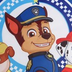 Фартук с нарукавниками детский PAW PATROL «Всегда готовы», 49х39 см - фото 8441255