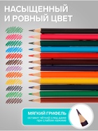 Карандаши Calligrata, цветные, акварельные, 12 цветов - Фото 5