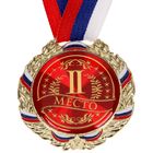 Медаль призовая 006 диам 7 см. 2 место, триколор. Цвет сер. С лентой - фото 3453615