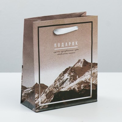 Пакет вертикальный крафтовый «Вдохновенный подарок», S 12 × 15 × 5.5 см