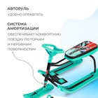 Снегокат «Тимка спорт 1» Sportbike, ТС1/SB2 - Фото 3