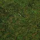 Листовой мох 30х30х0,5 см - Фото 3