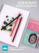 Карандаши цветные 18 цветов BrunoVisconti. FunColor, пластиковые, трёхгранные, МИКС - Фото 2