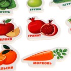 Развивающие магниты «Изучаем цвета и овощи - фрукты» (набор 25 шт.) - Фото 7