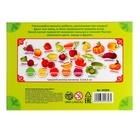 Развивающие магниты «Изучаем цвета и овощи - фрукты» (набор 25 шт.) - Фото 8