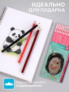 Карандаши цветные 12 цветов FunColor, пластиковые, трёхгранные, МИКС - Фото 2