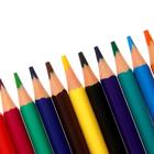 Карандаши цветные 12 цветов FunColor, пластиковые, трёхгранные, МИКС - Фото 4