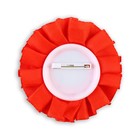 Диплом и орден на выпускной «Выпускнику начальной школы» - Фото 5