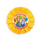 Диплом и орден на выпускной «Выпускнику детского сада» - Фото 4