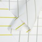 Пленка для цветов, матовая, "Люрекс", белый, 0,6 х 10 м - Фото 2