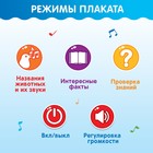 Обучающий плакат «Животные мира», звуковые эффекты - Фото 5