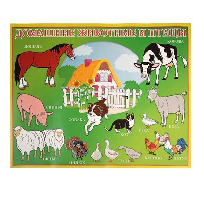 Плакат Домашние животные и птицы (4158038) - Купить по цене от 36.85 руб.  | Интернет магазин SIMA-LAND.RU