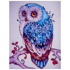 Алмазная мозаика «Сапфировая сова» 20 × 27 см, 26 цветов - Фото 1