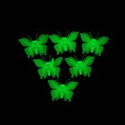 Набор светящегося декора "Бабочки" 6 шт., зелёный, 7 × 5,5 × 5 см, МИКС - Фото 2