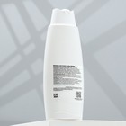 Шампунь для кошек и собак «Пижон», 250 мл, с ароматом яблока - Фото 3