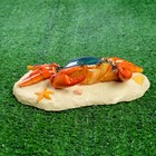 Садовая фигура плавающая "Краб" 20*12*6 см - Фото 4