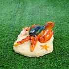 Садовая фигура плавающая "Краб" 20*12*6 см - Фото 5